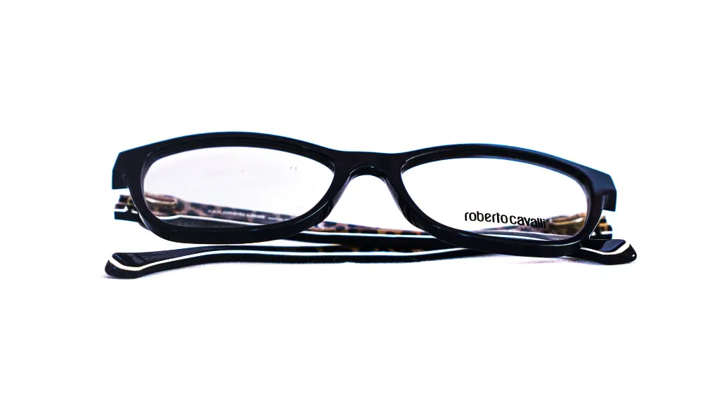 Monture Roberto Cavalli-femme-papillon-bleu