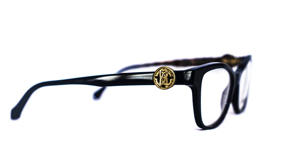 Lunette Roberto Cavalli-bleu-design papillon