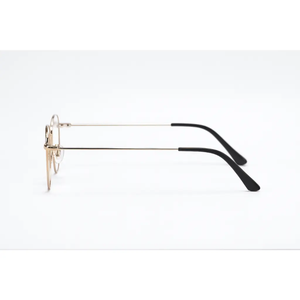 Détail des branches dorées raffinées lunette dacchi.webp