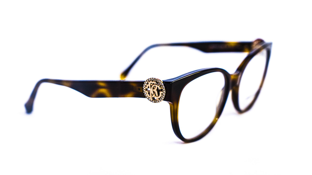 Monture Roberto Cavalli - vue de profile