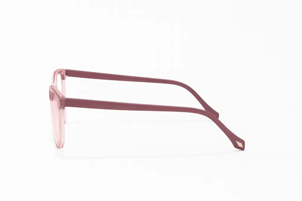 Lunettes browline Bloom rose – Boutique Luxe Optique.webp