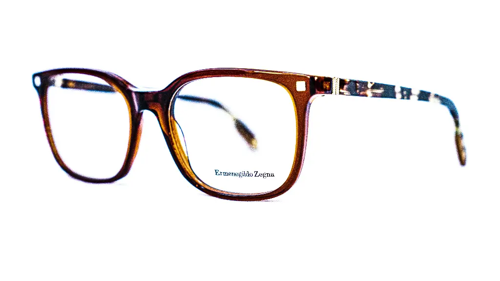 Monture Homme Ermenegildo Zegna - Cerclée