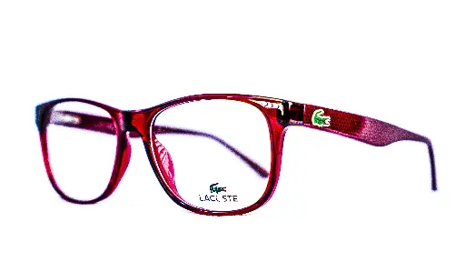 Monture Homme Lacoste Cerclée