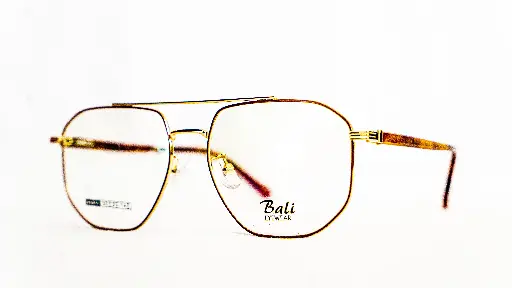 Monture Homme Bali - Cerclée